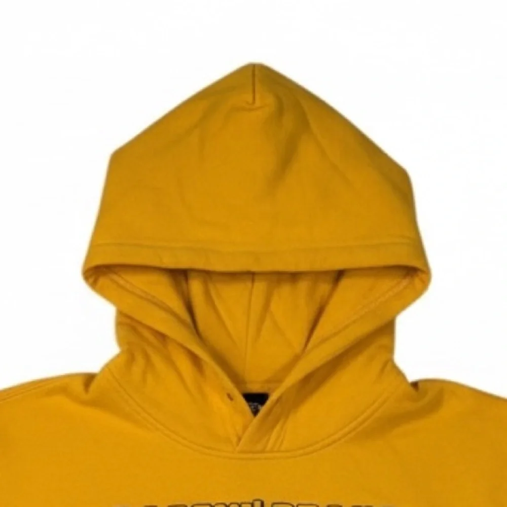 The North Face Men's Places We Love Standard Fit Printed Hoodie in Summit Gold